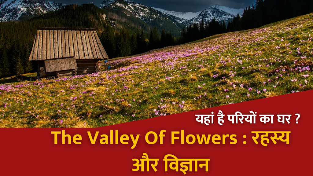 Amazing Facts About The Valley Of Flowers: Phoolon ki ghati - Hindi Me ...